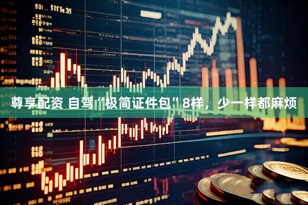 尊享配资 自驾“极简证件包”8样，少一样都麻烦