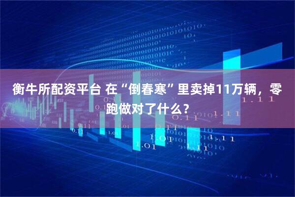 衡牛所配资平台 在“倒春寒”里卖掉11万辆，零跑做对了什么？