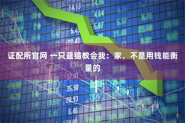 证配所官网 一只蓝猫教会我：家，不是用钱能衡量的