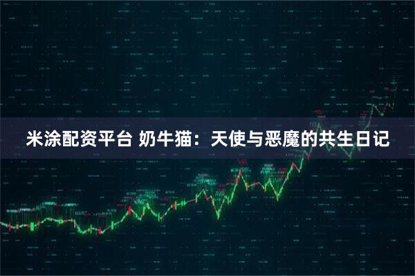 米涂配资平台 奶牛猫：天使与恶魔的共生日记