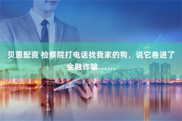贝恩配资 检察院打电话找我家的狗，说它卷进了金融诈骗……
